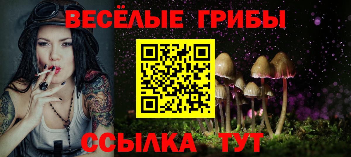 Псилоцибиновые грибы GOLDEN TEACHER Севастополь